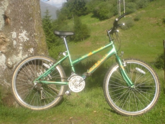 Raleigh best sale max 24